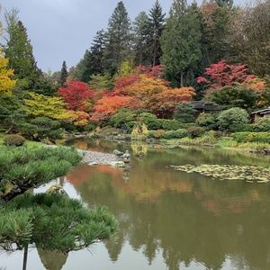 Meet your Posher, Lime